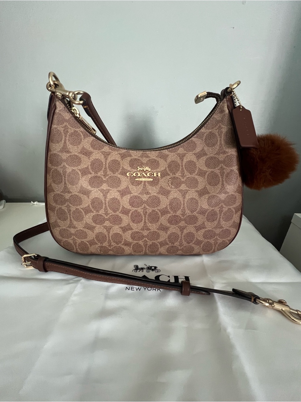 Coach Teri Hobo Bag in Signature Canvas